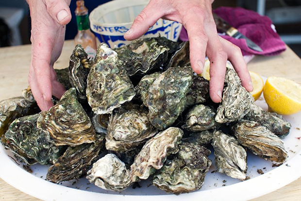 Фестиваль устриц в Ирландии. Restaurants Yekaterinburg